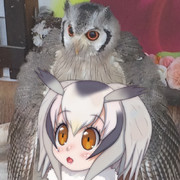 風浴は気持ちいいのです