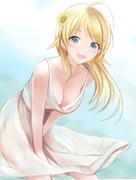 わんぴめぐる