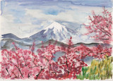 富士山と桜2