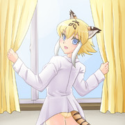 朝シャツサーベルタイガー