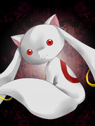 僕と契約して！