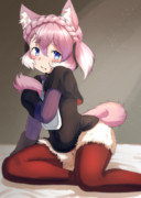 尻尾型テールアタッチメントを抱いているエルザちゃん可愛い