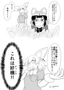 見ていたアラフェネ