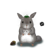 トトロを捕まえたんだが