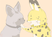 おおみみぎつね　さーばる