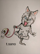 No.637 おさんぽハスキー