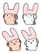 我々はうさぎなのです