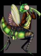 カマキリ娘ちゃん