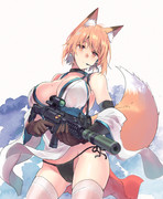 武装狐