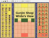 【変則将棋】軍人将棋-後手（白）視点【対局】