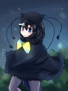 ワンドロフウチョウ