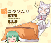 新種のフレンズと化したともえちゃん