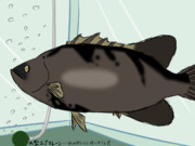 ベアタンクで長期飼育されてしまうマツダイ