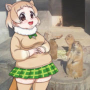 冬支度であります！