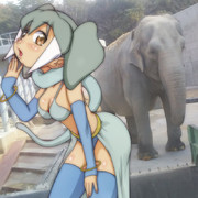 踊りましょ