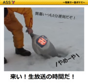 来い！生放送の時間だ！