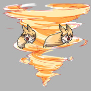 ソニックブームをかますキタキツネさん