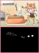 越冬の準備をするアムトラ猫