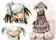 ハシビロちゃん3顔