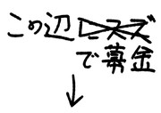 注）募金してます