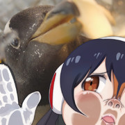 ジェンツーペンギンのジェーンです