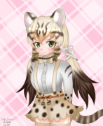 ジョフロイネコ