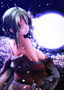 夜桜艶姿