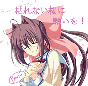 枯れない桜に願いを！ 