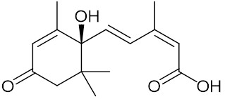 アブシシン酸 / ことり さんのイラスト ニコニコ静画 (イラスト)