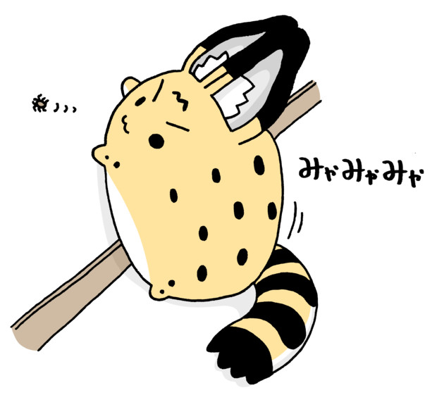 クモに興味津々のサーバルちゃん ナイジン さんのイラスト ニコニコ静画 イラスト