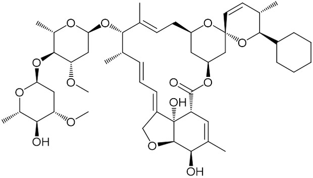ドラメクチン / ことり さんのイラスト ニコニコ静画 (イラスト)