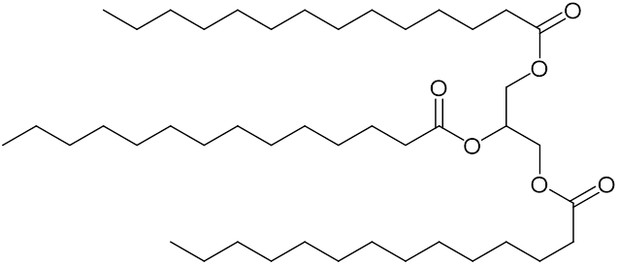 トリミリスチン / ことり さんのイラスト ニコニコ静画 (イラスト)