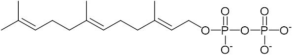 ファルネシル二リン酸