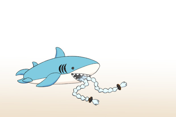 サメ寝袋 Nmzi ひまじん さんのイラスト ニコニコ静画 イラスト