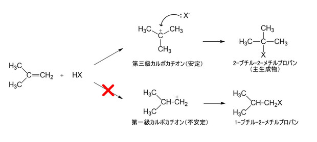 マルコフニコフ則2