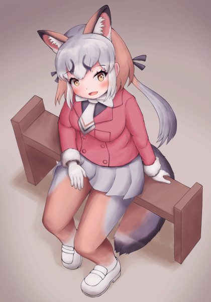 シマハイイロギツネ