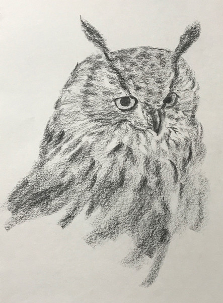 ミミズク 絵画探求 さんのイラスト ニコニコ静画 イラスト