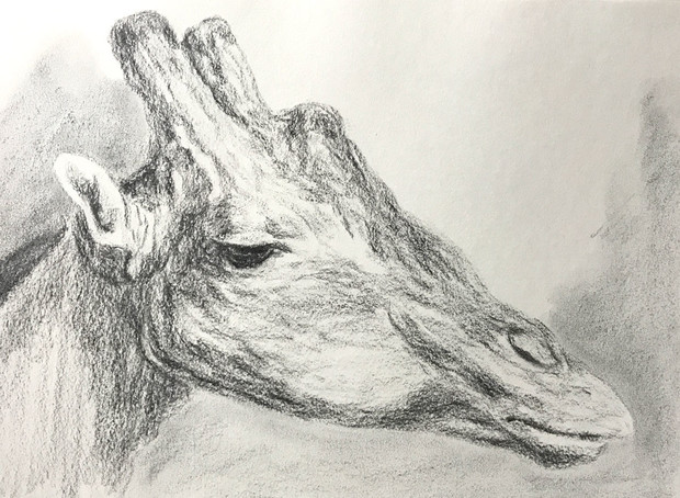 キリン 絵画探求 さんのイラスト ニコニコ静画 イラスト