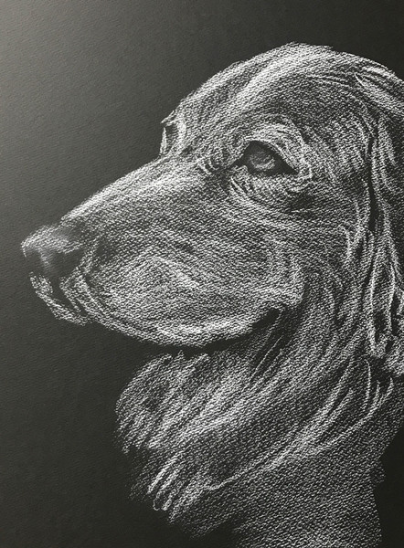 犬スケッチ 絵画探求 さんのイラスト ニコニコ静画 イラスト