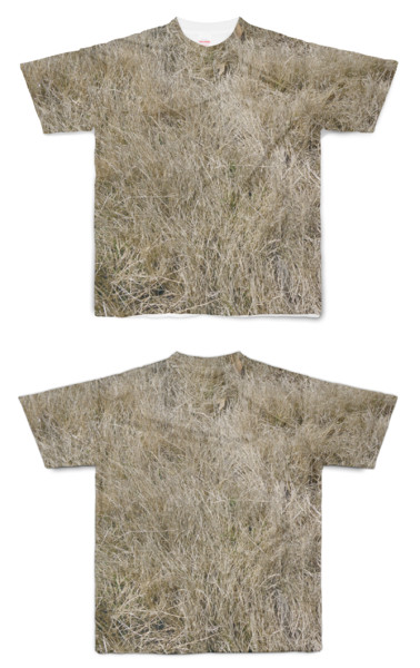 Tシャツ フルグラフィック 枯芝生