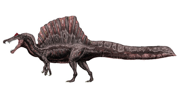 スピノサウルス2020
