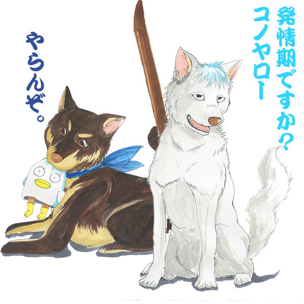 流れ星銀時 ウェンディゴ さんのイラスト ニコニコ静画 イラスト