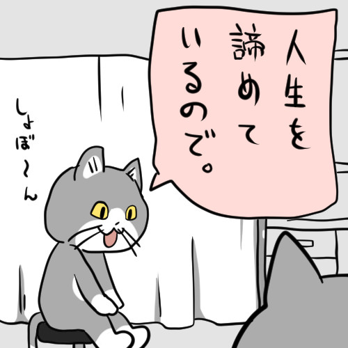 かわいそうなねこ