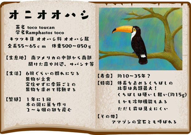 オニオオハシ ゆっくりどうぶつずかん 迷伊 動物解説 さんのイラスト ニコニコ静画 イラスト