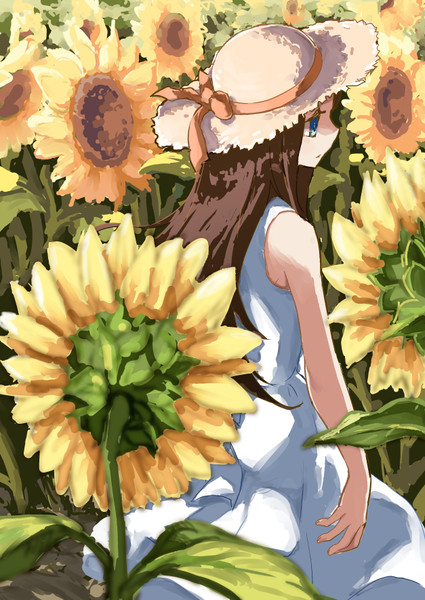 ヒマワリ Nicosub静画
