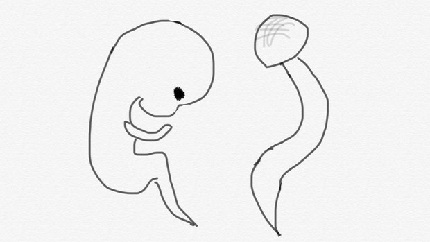 しめじと胎児 Chiva さんのイラスト ニコニコ静画 イラスト