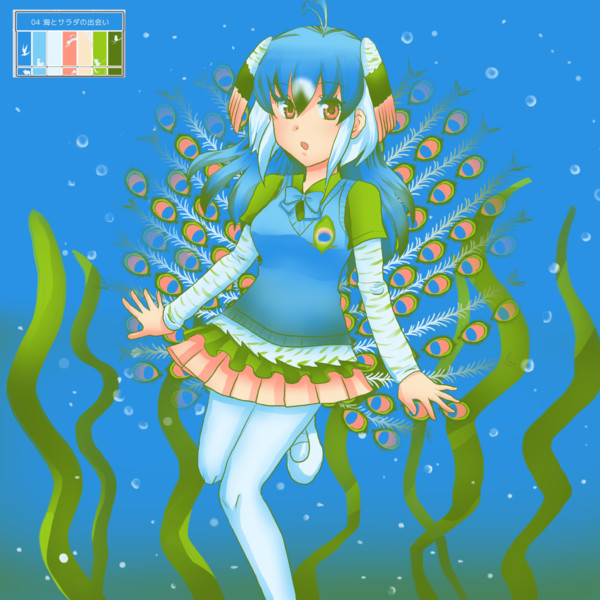 リプきた番号の色で絵を描く クジャクさん しよ さんのイラスト ニコニコ静画 イラスト
