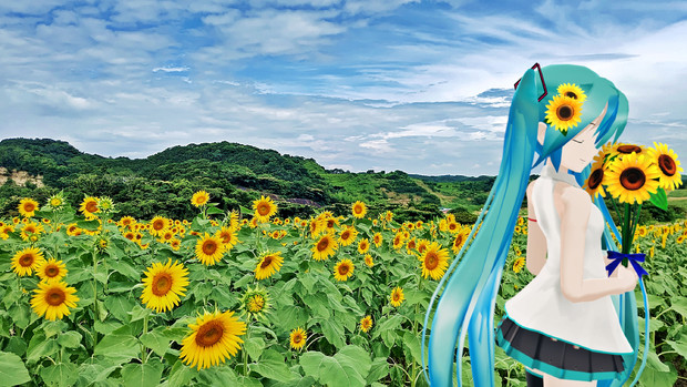 ミクさんとひまわり畑 そうせき さんのイラスト ニコニコ静画 イラスト