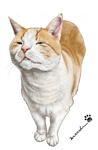 すんすん