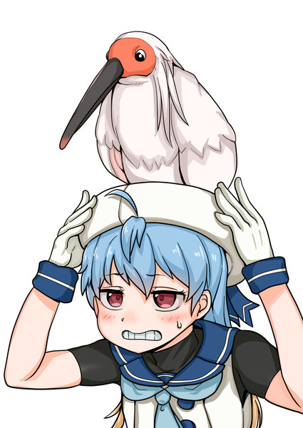 野鳥になつかれた佐渡さま ヘップ さんのイラスト ニコニコ静画 イラスト